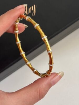 سوار مميز  زاركون