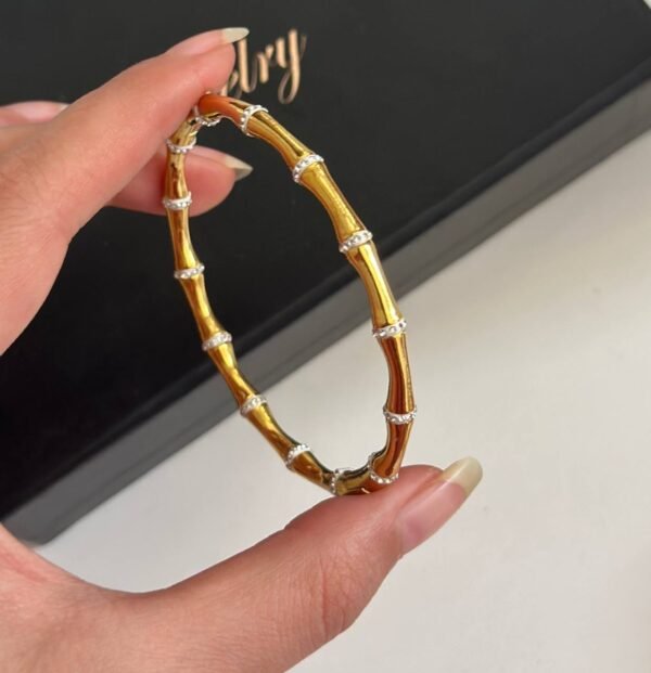 سوار مميز  زاركون